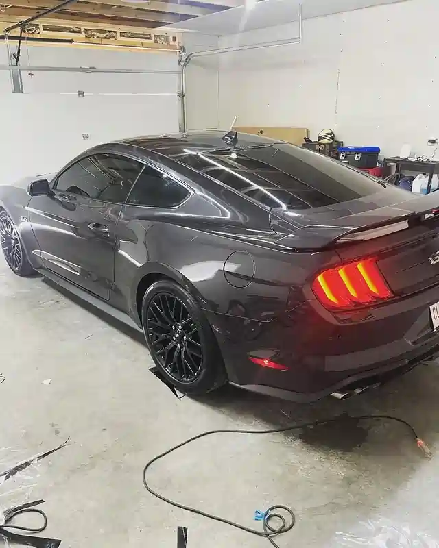 tinted car
